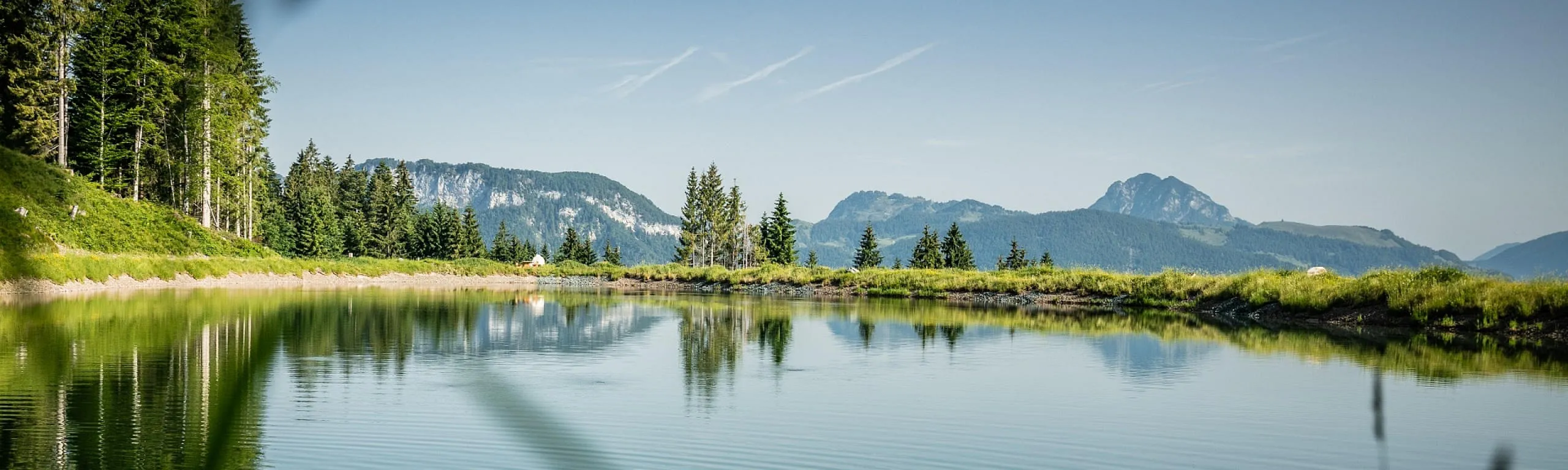 Landschaft 1