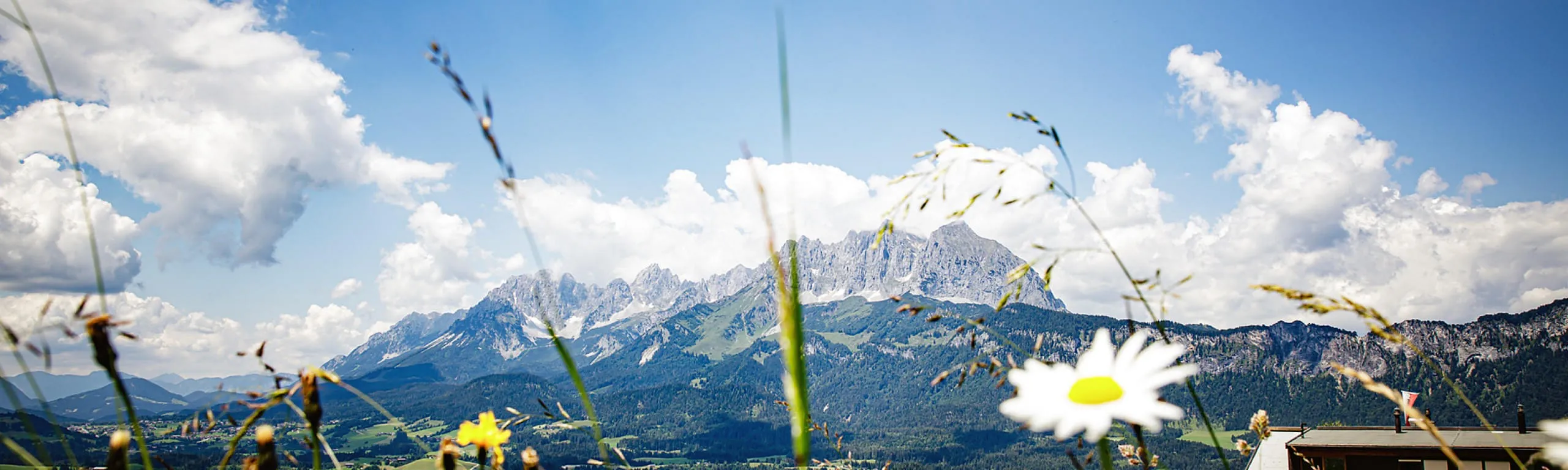 Aussicht